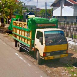 Ekspedisi Jakarta ke Merauke, Papua