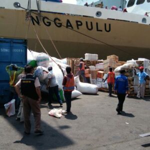 jadwal kapal pelni jakarta km nggapulu port-stay april 2020